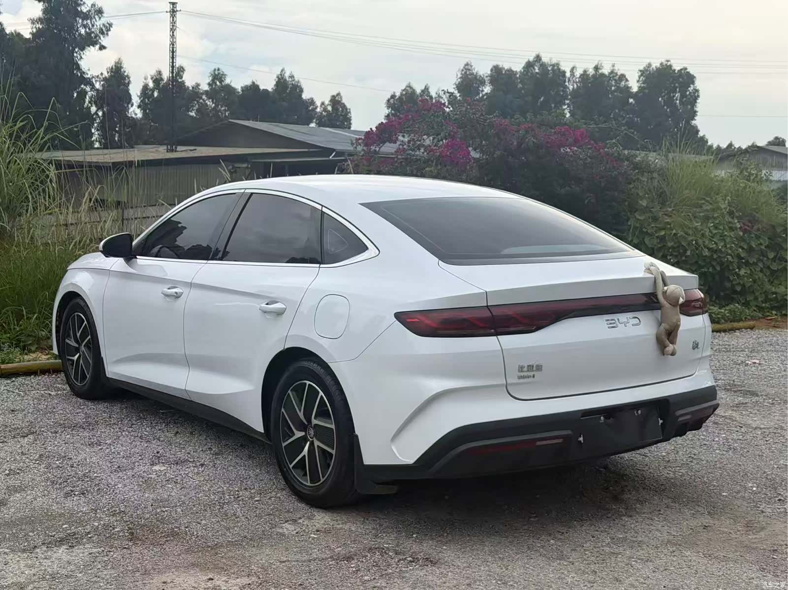 BYD Qin, 2025 9