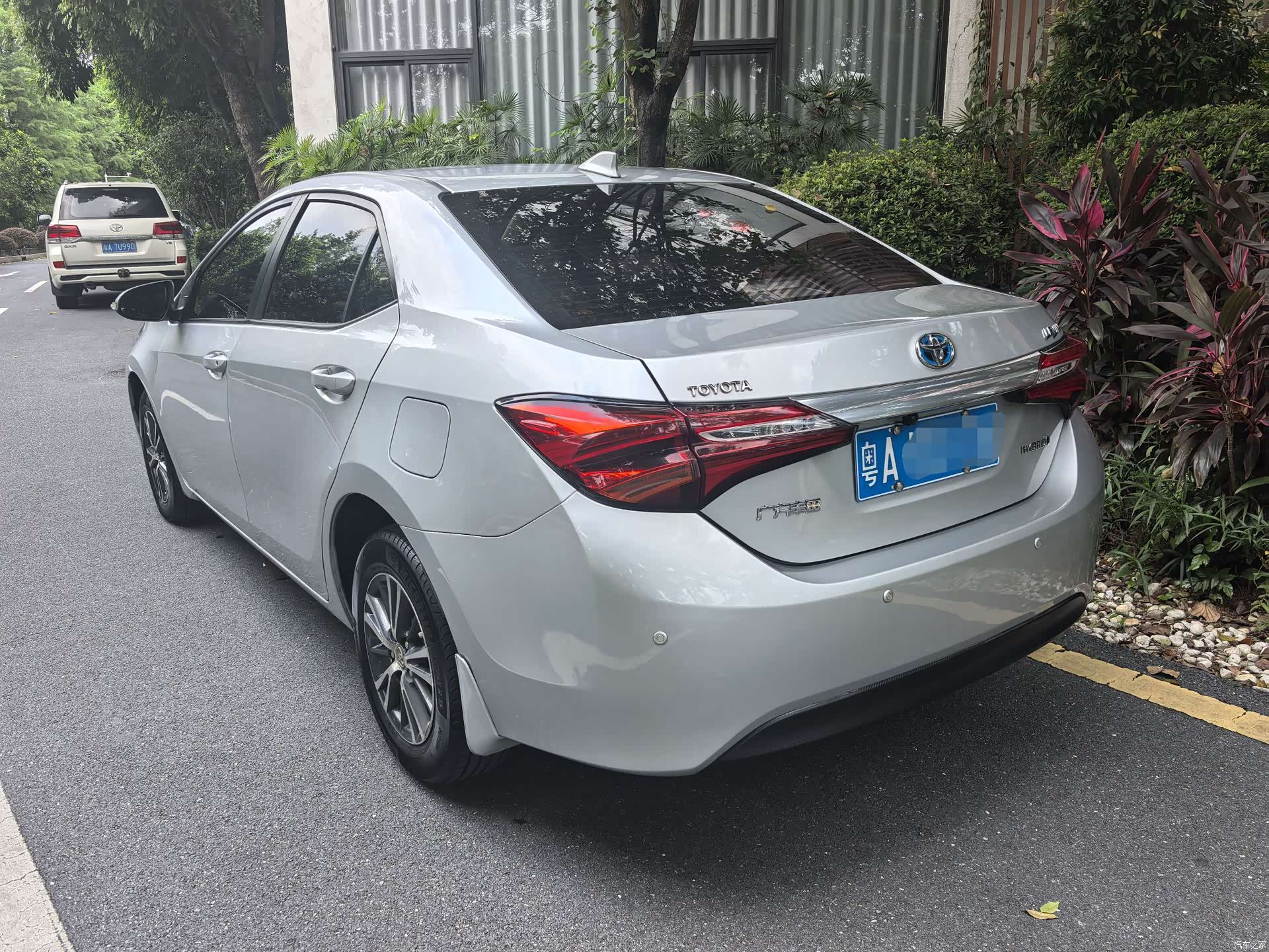 Toyota Levin, 2016 6