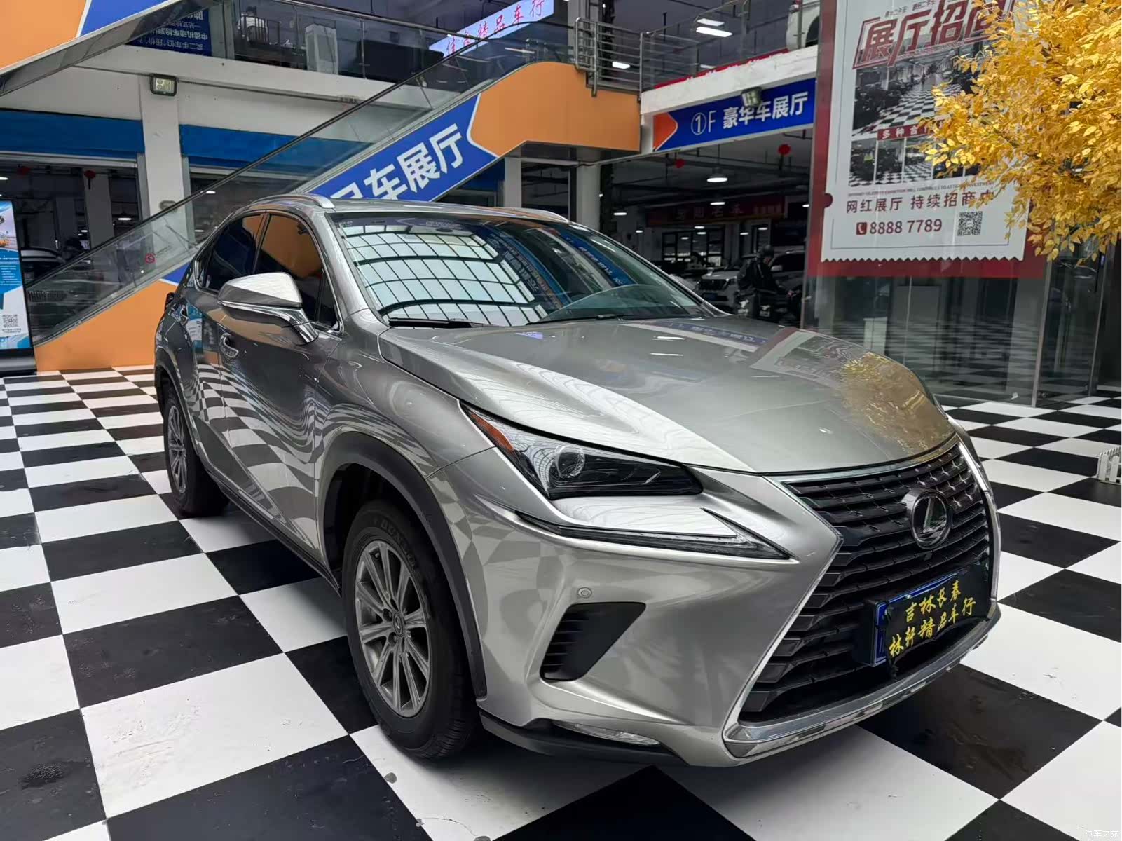 Lexus NX, 2021 2