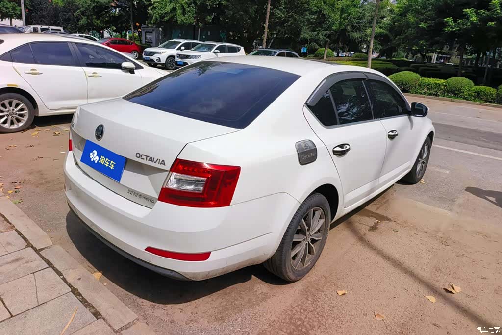 Skoda Octavia, 2019 3