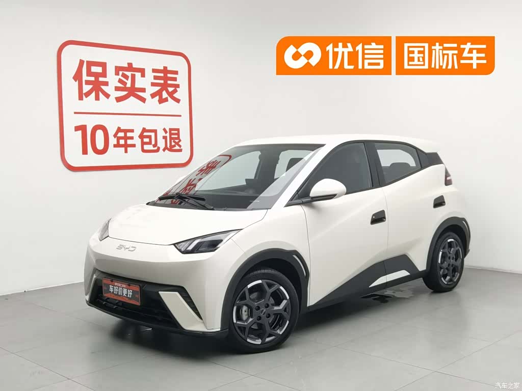 BYD Seagull, 2025 1