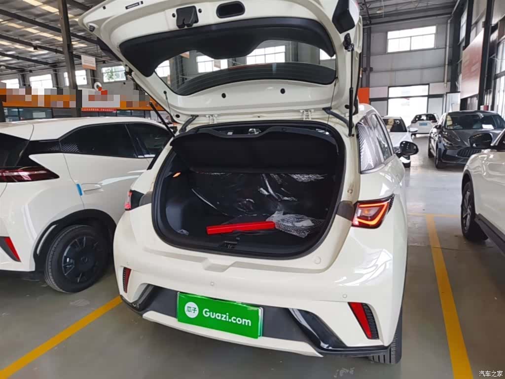 BYD Dolphin, 2026 19
