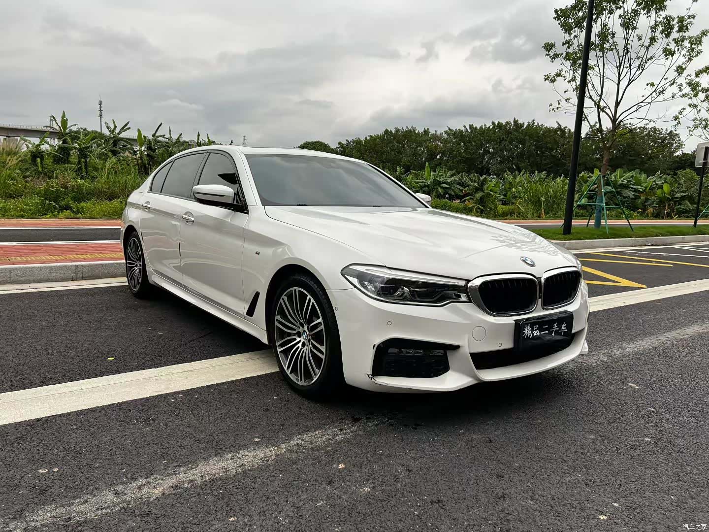 BMW 5 Series, 2017 3