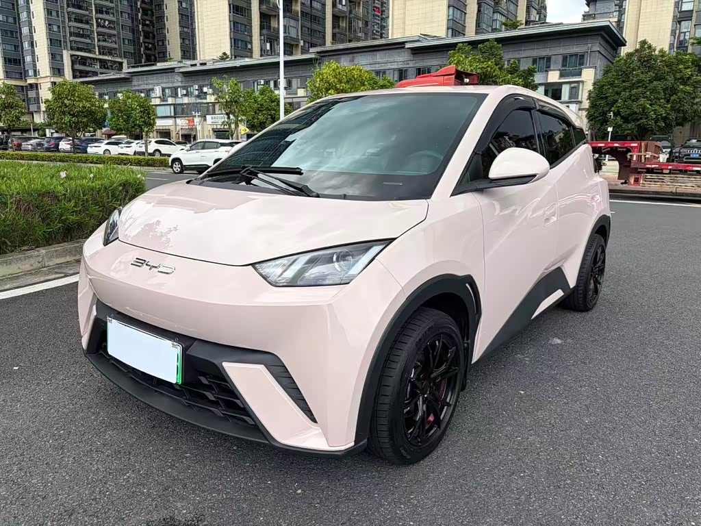 BYD Seagull