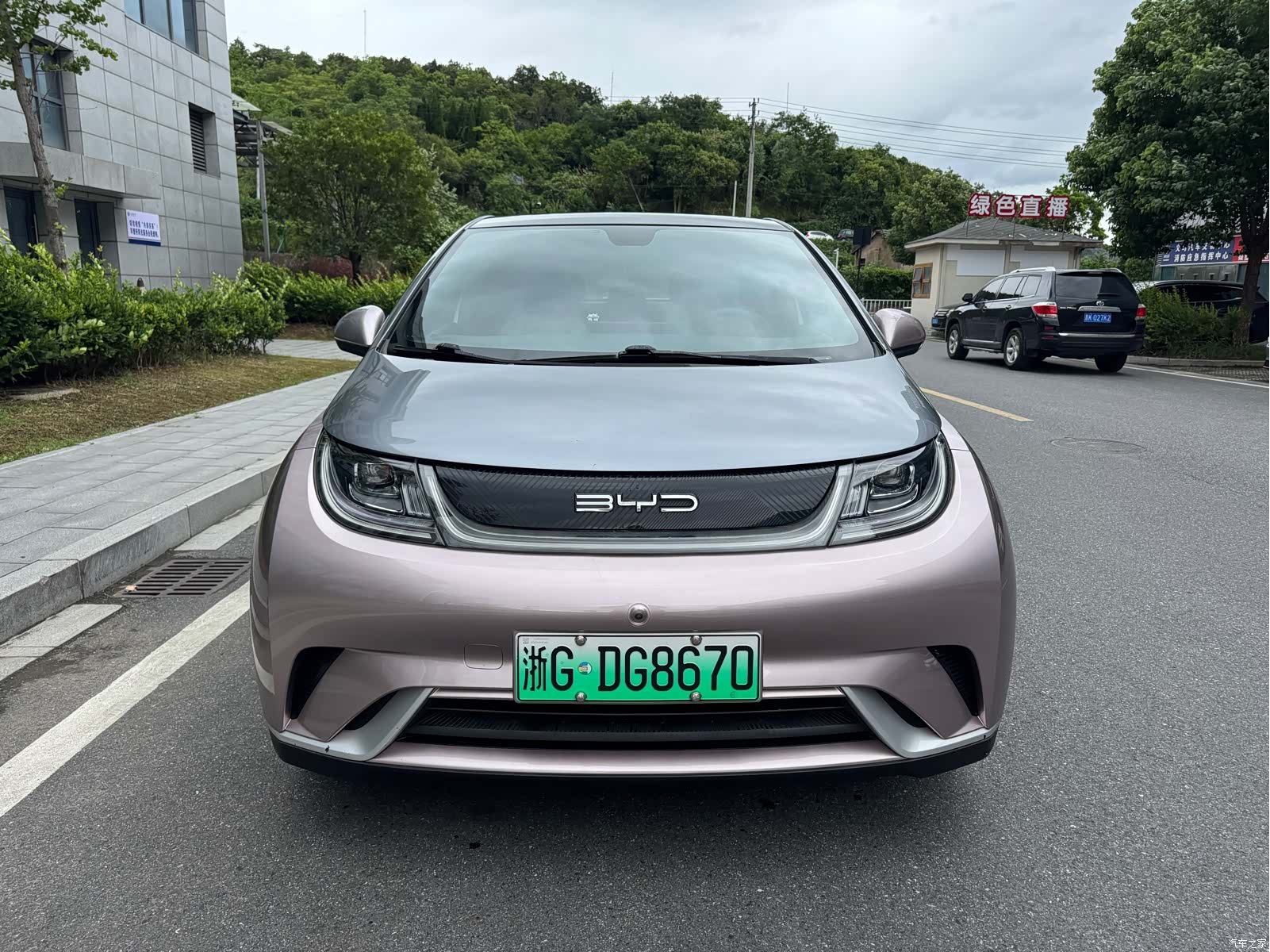 BYD Dolphin, 2022 2