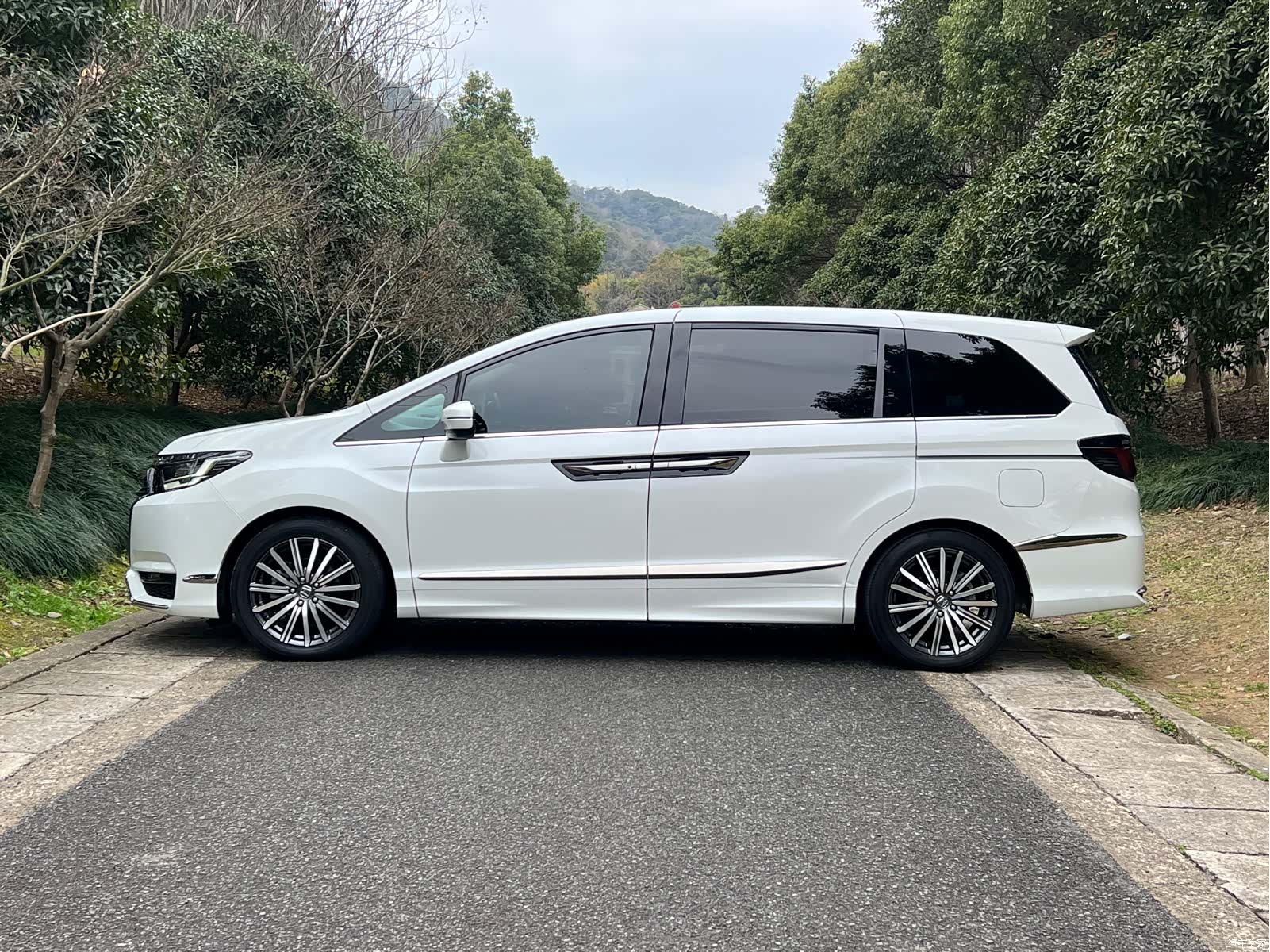 Honda Elysion, 2023 все фото