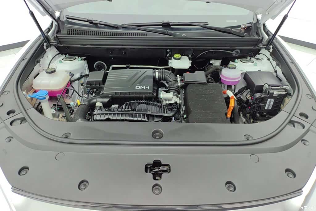 BYD Song, 2024 10