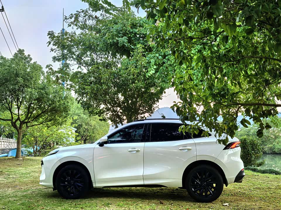 Forthing Popular T5 EVO