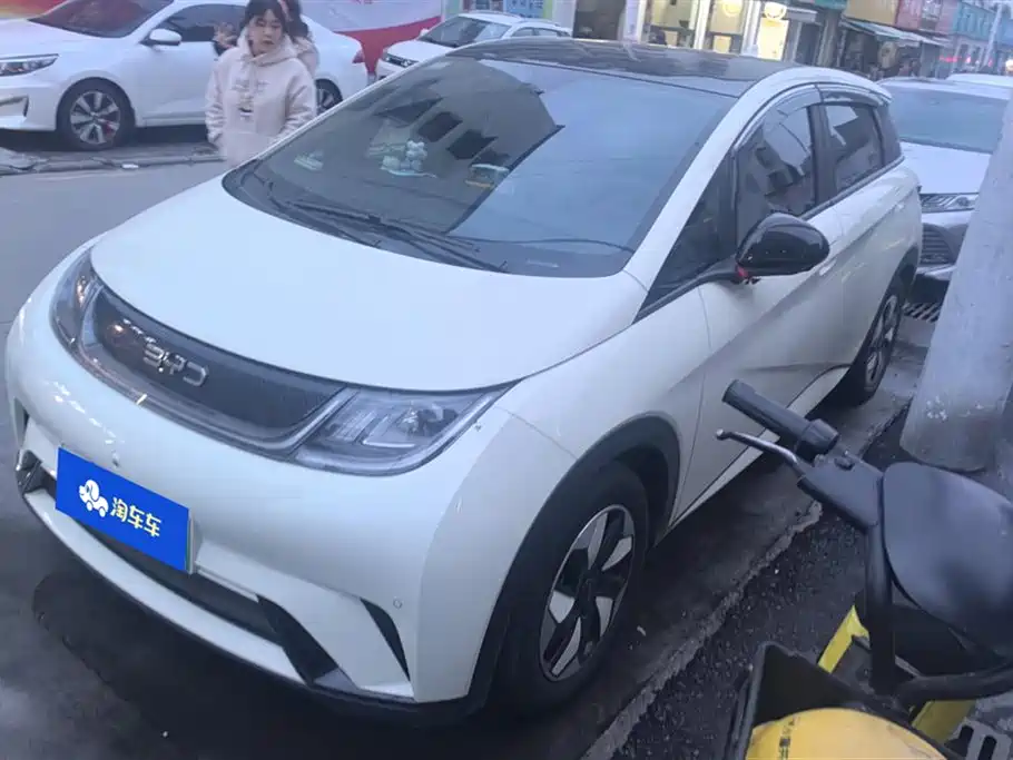 BYD dolphin