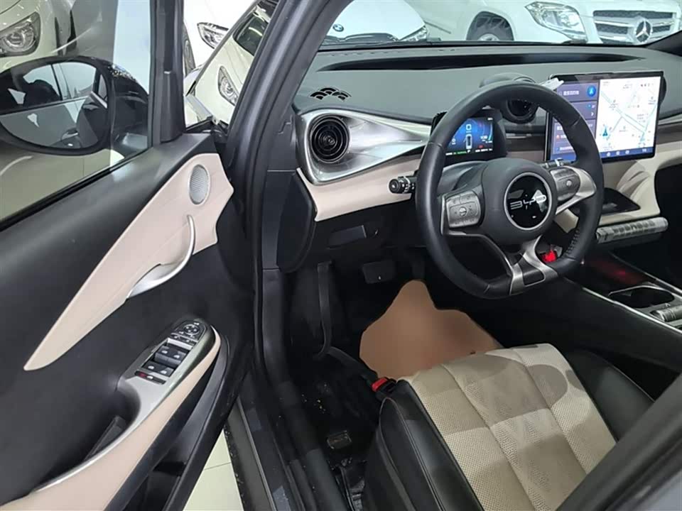 BYD dolphin
