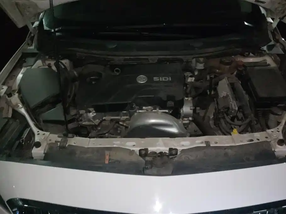Buick Weilang