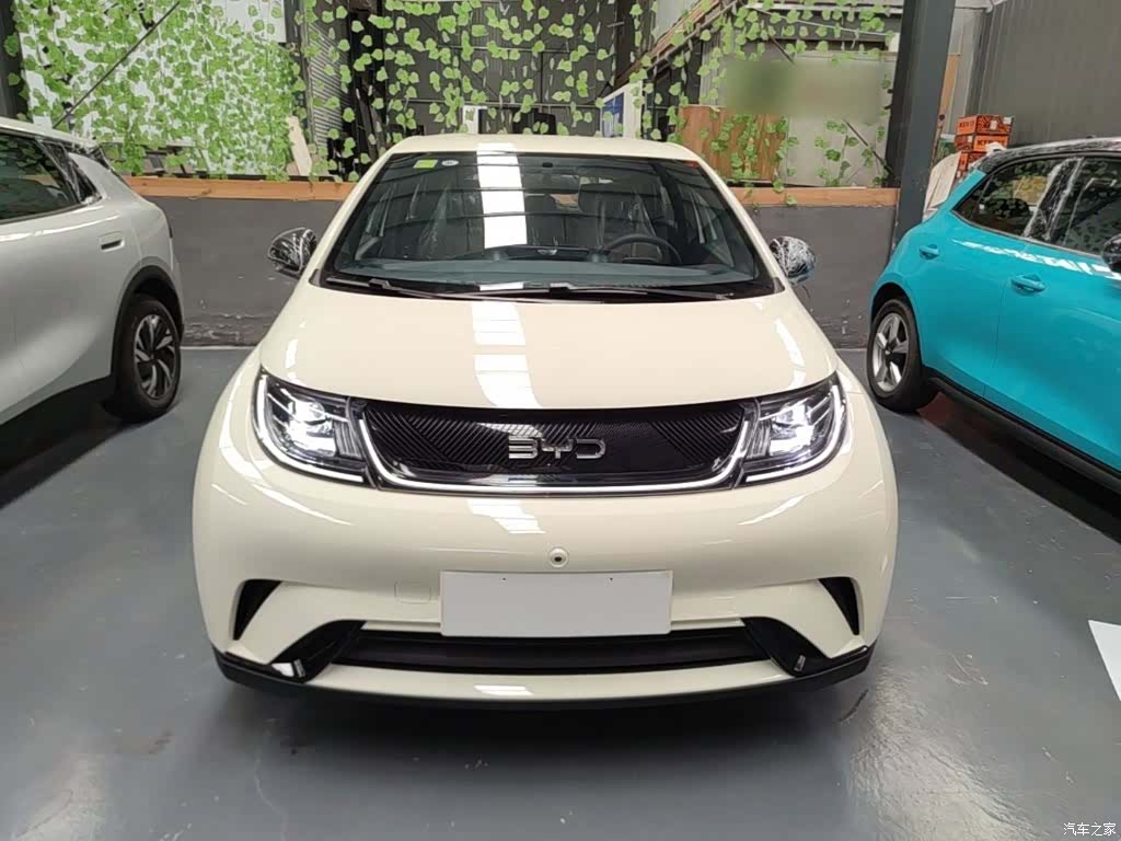 BYD Dolphin, 2026 3