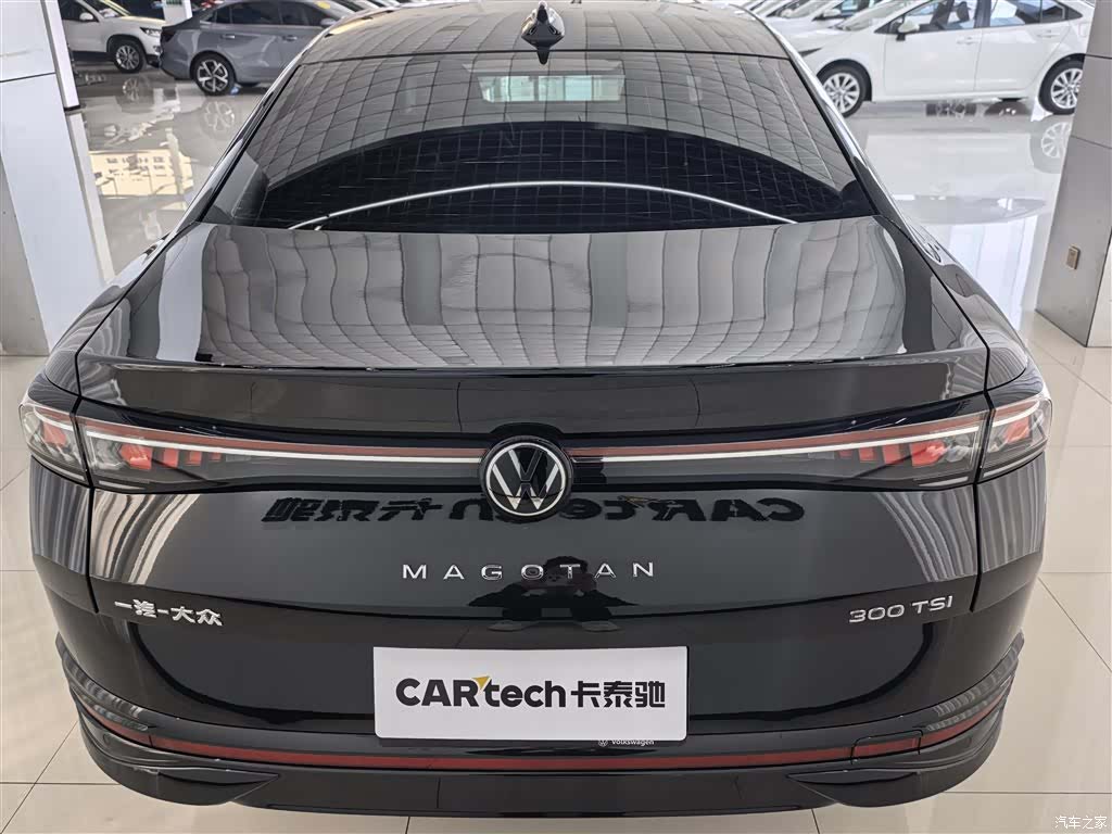 Volkswagen Magotan, 2025 все фото