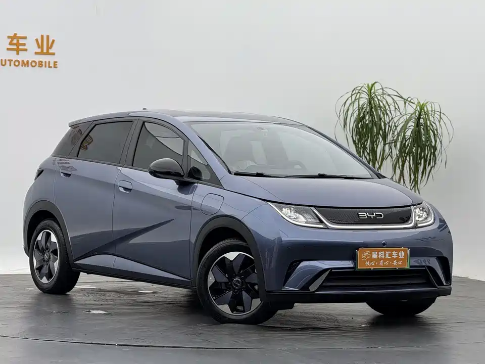 BYD dolphin