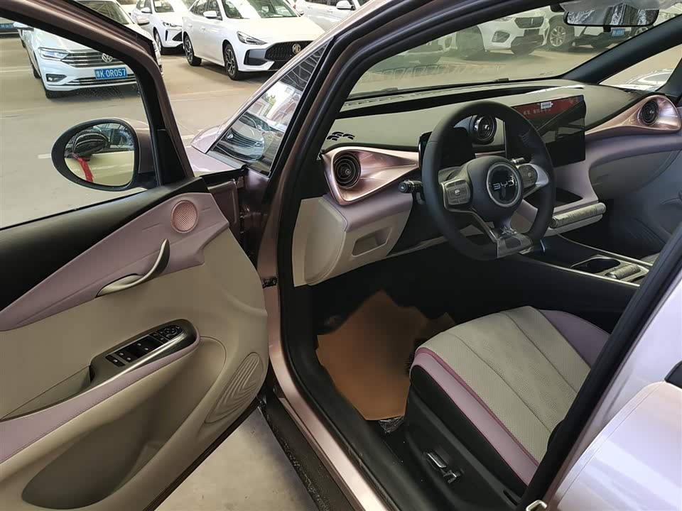 BYD dolphin