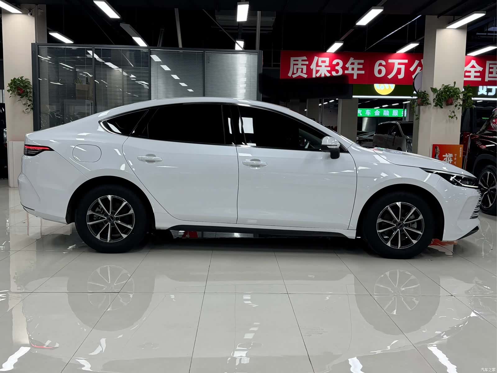 BYD Destroyer 05, 2024 8