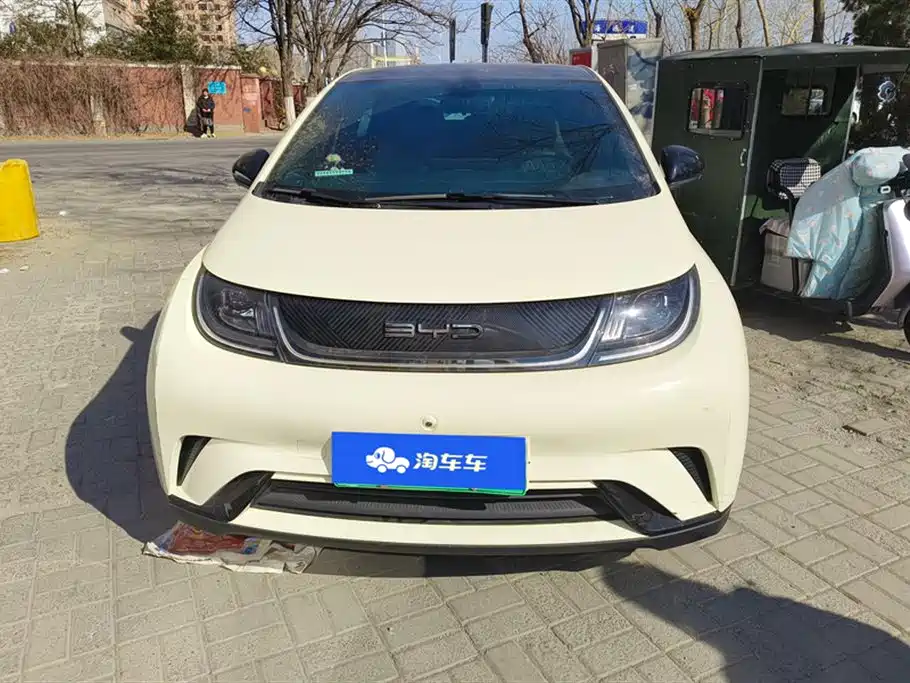 BYD dolphin
