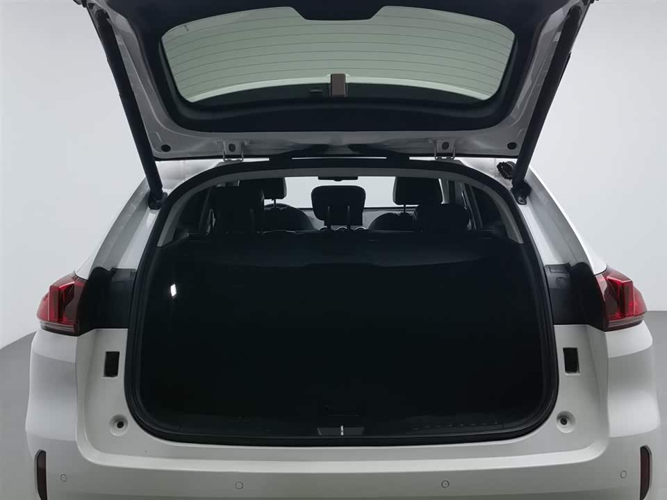 Weipai VV5