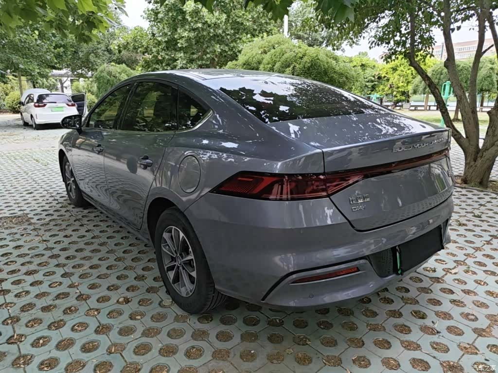 BYD Qin, 2025 все фото