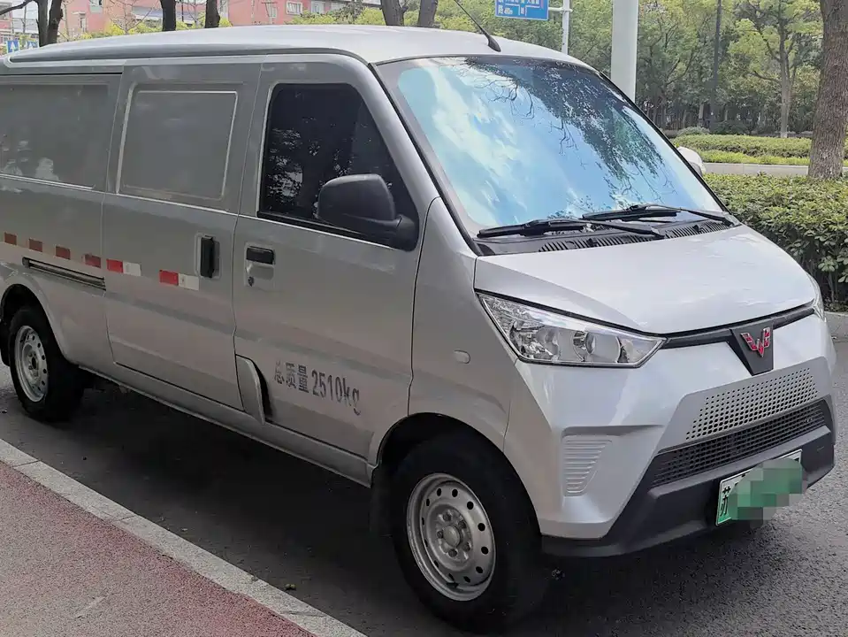Wuling Wuling EV50