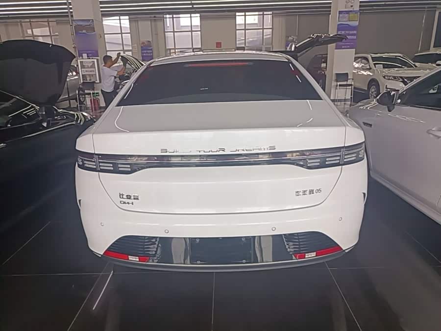 BYD Destroyer 05 2023, фото 6