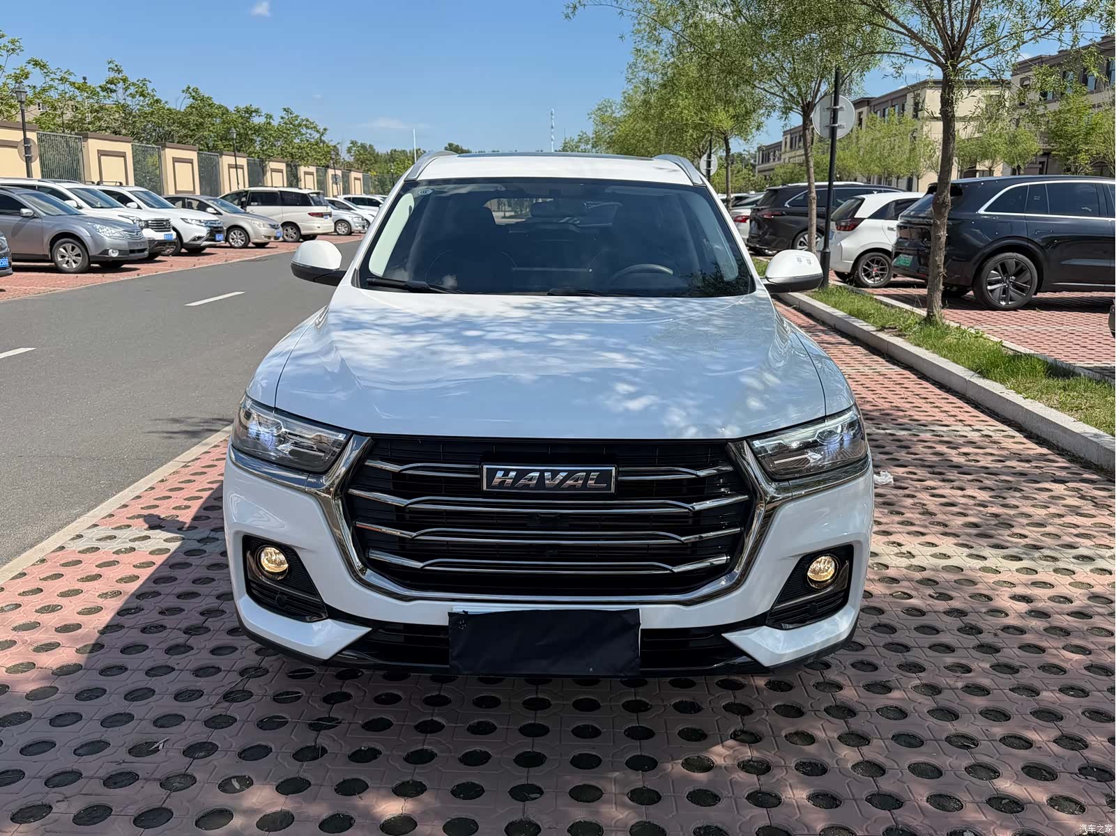 Haval H6, 2022 3