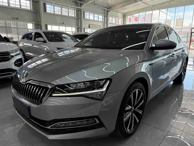 Škoda Speed pie 2022 — купить из Китая под заказ