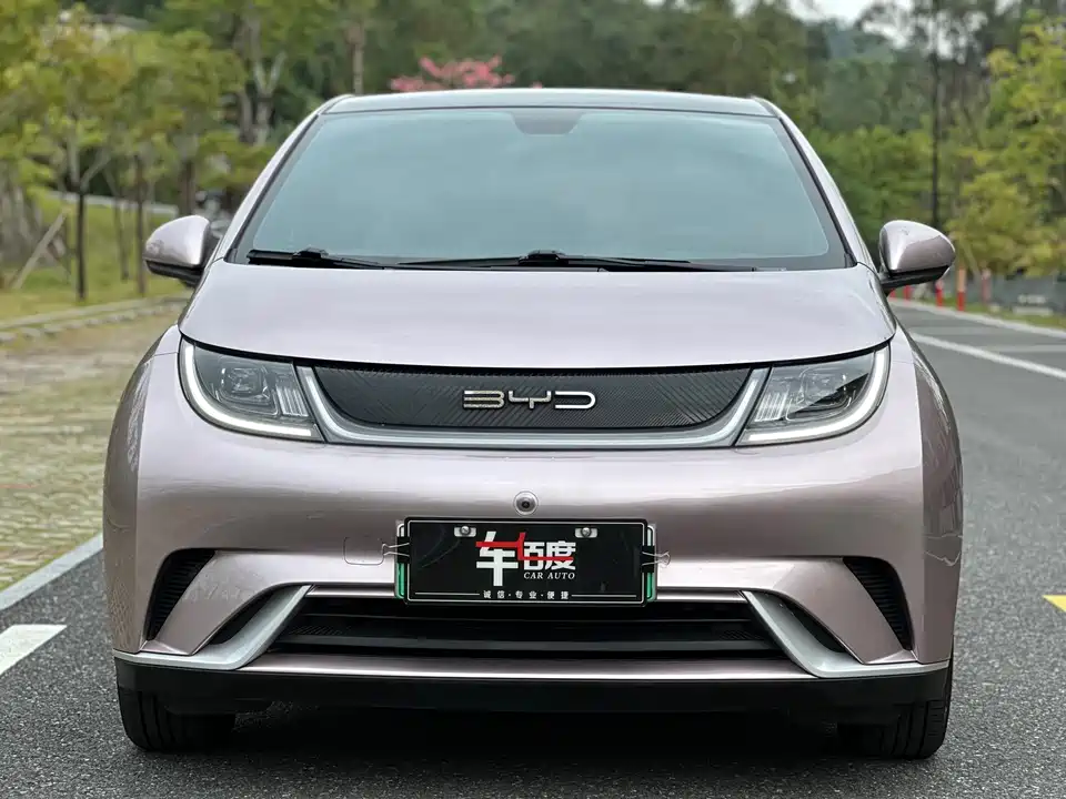 BYD dolphin