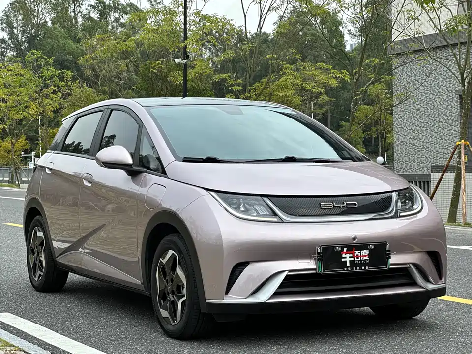BYD dolphin