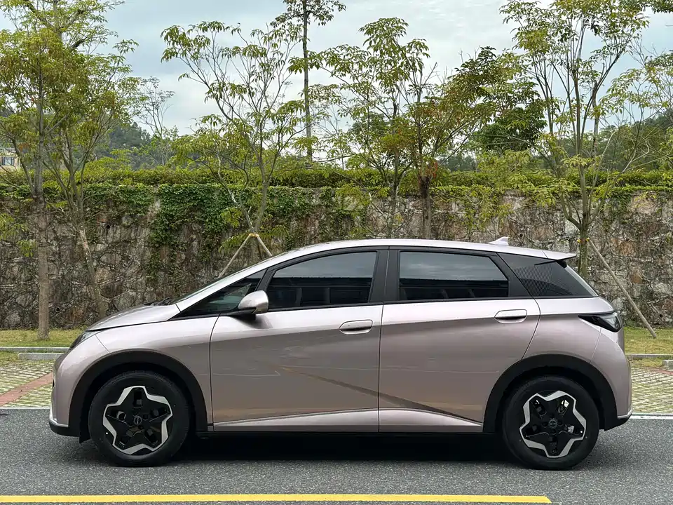 BYD dolphin