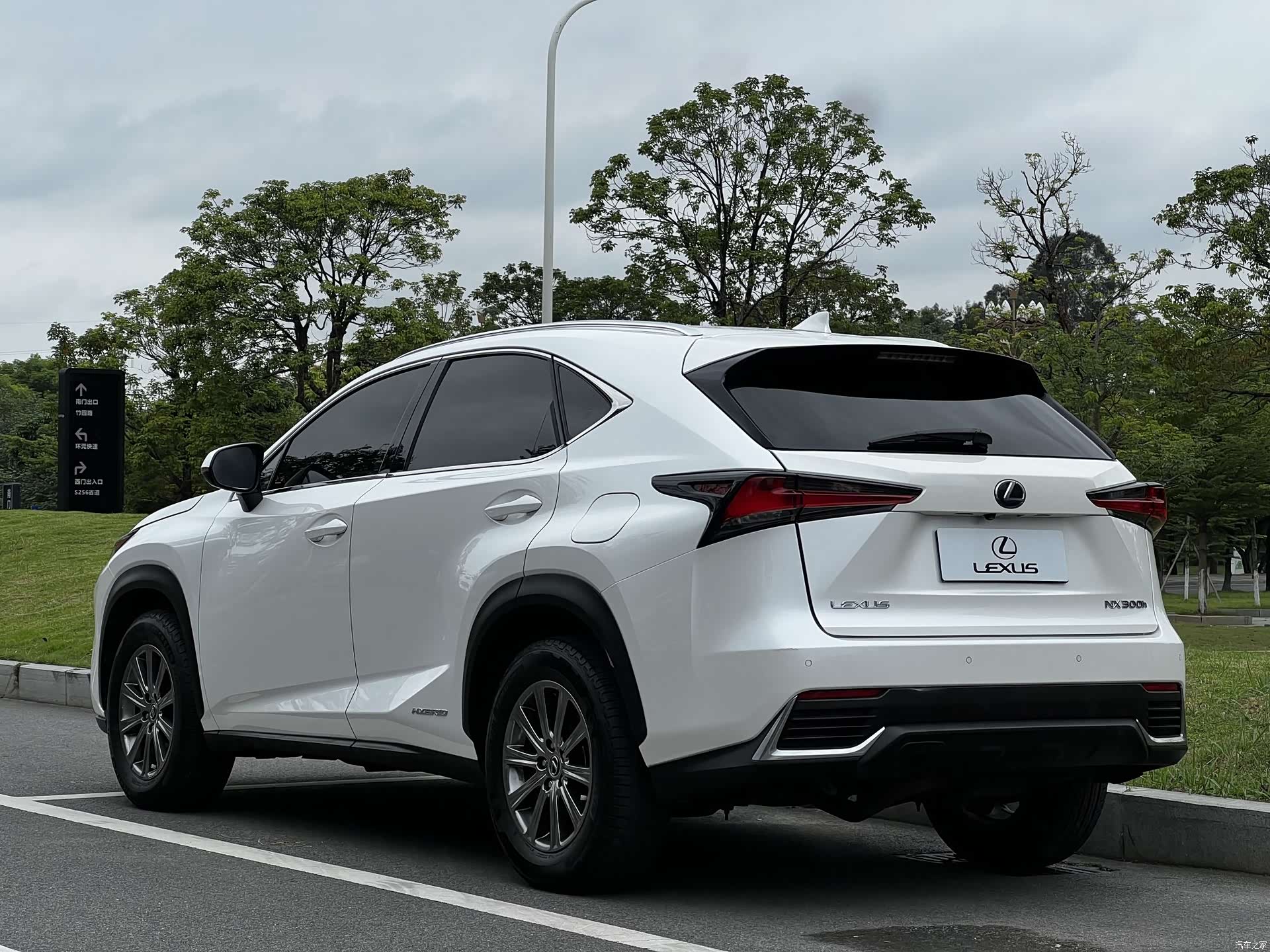 Lexus NX, 2020 все фото