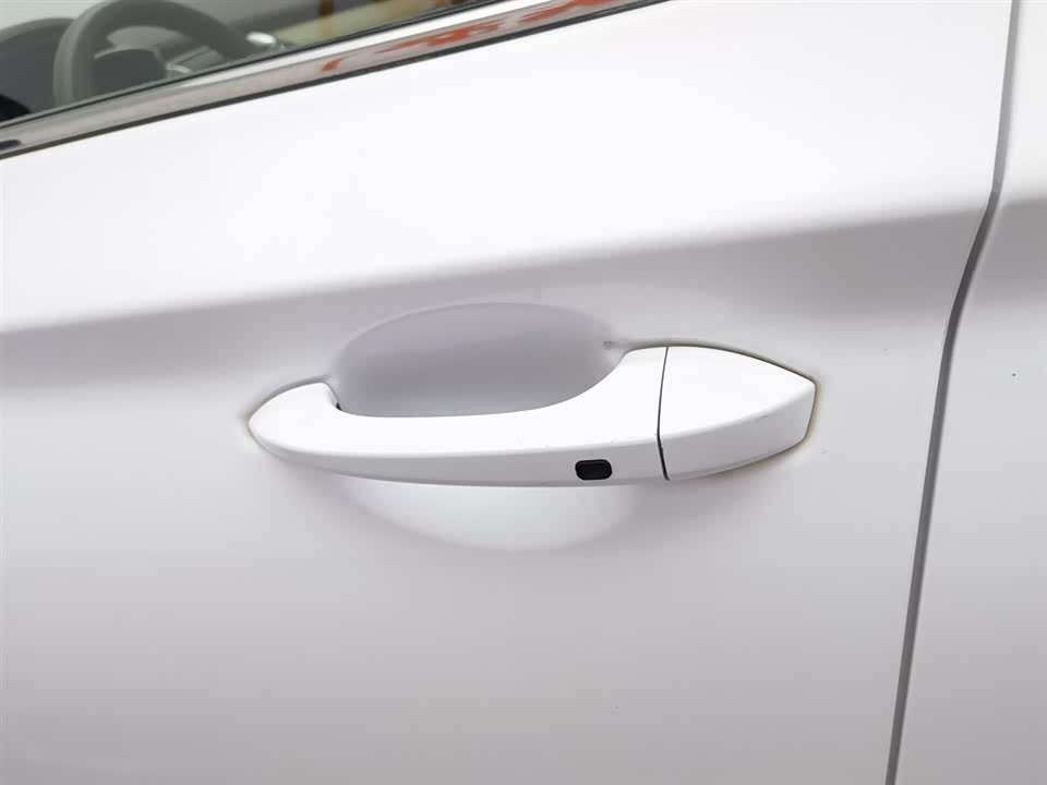 Leopaard Cheetah CS9