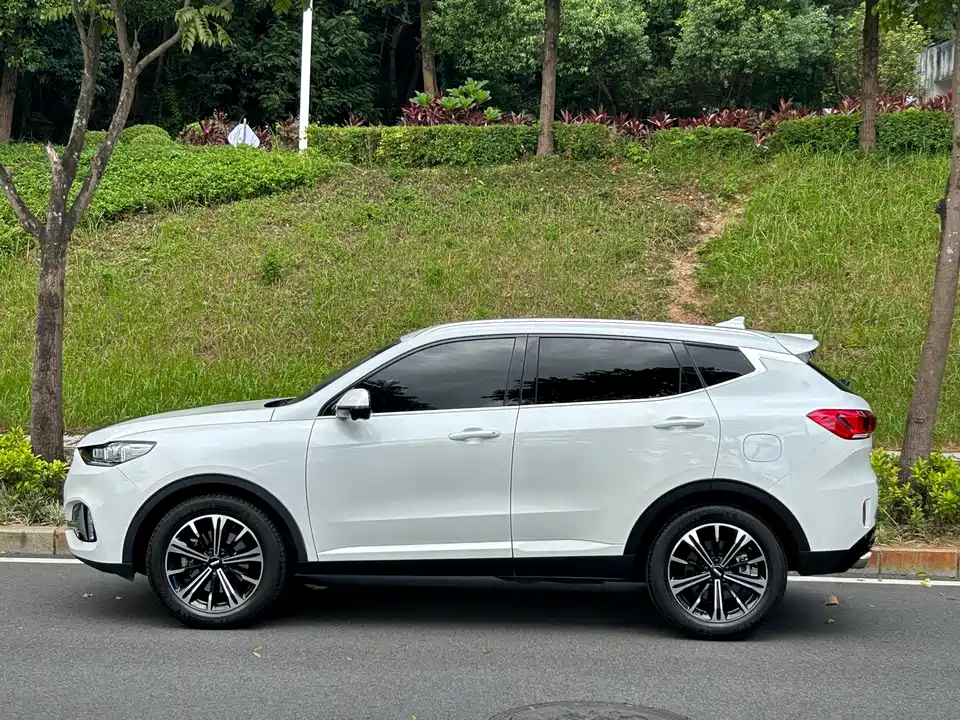 Weipai VV6