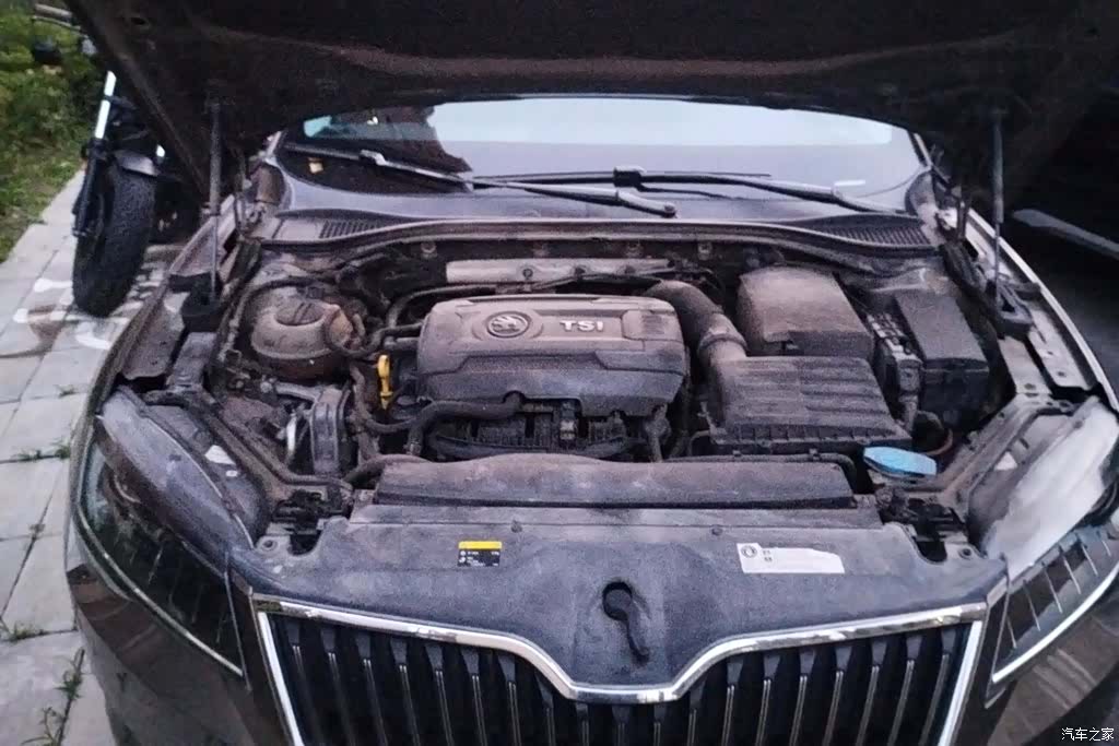Skoda Superb, 2018 10