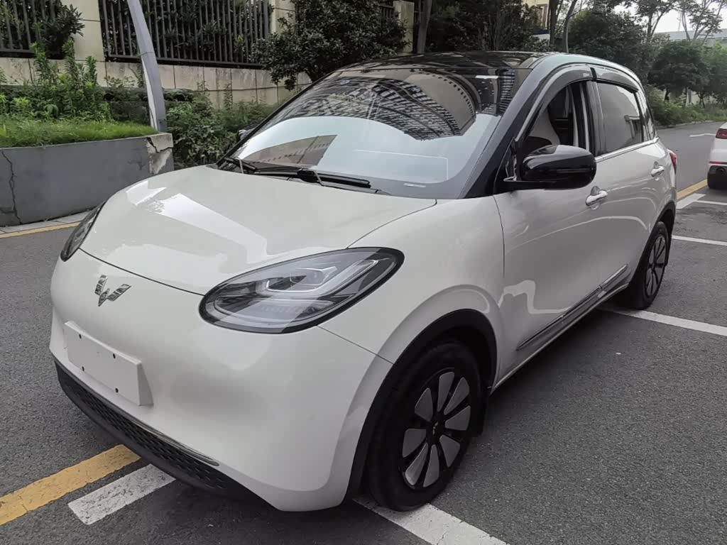 Wuling Binguo