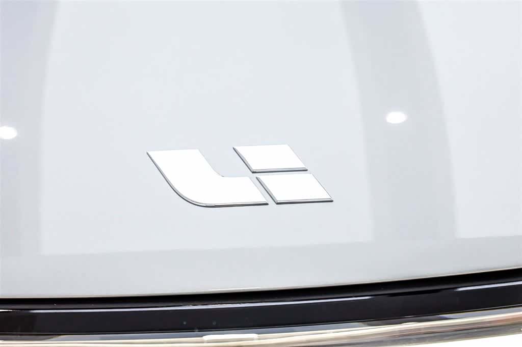 Li Auto L8, 2022 11