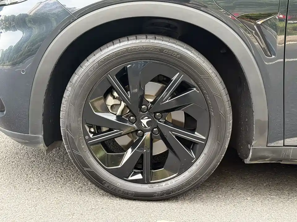 ARCFOX Polar Fox Alpha S