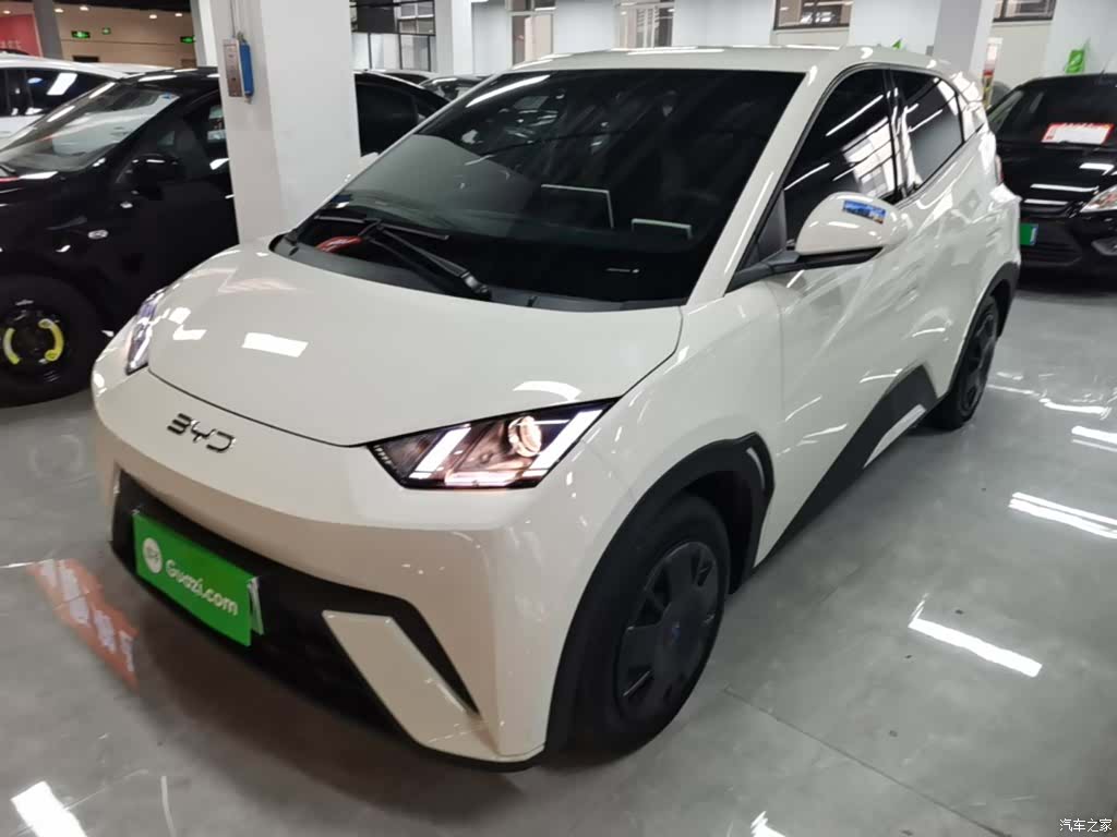 BYD Seagull, 2025 1