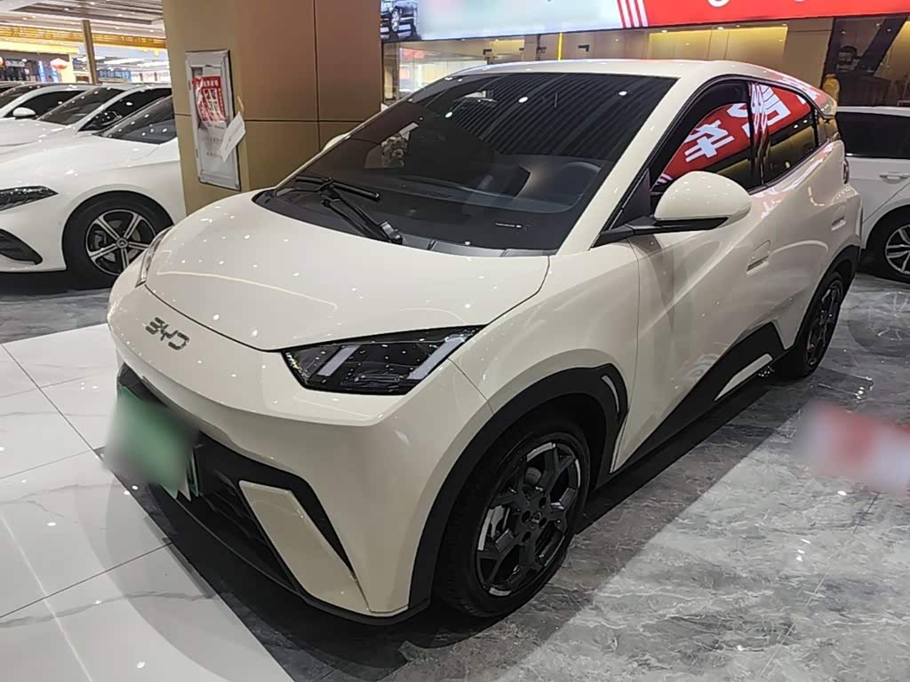 BYD Seagull
