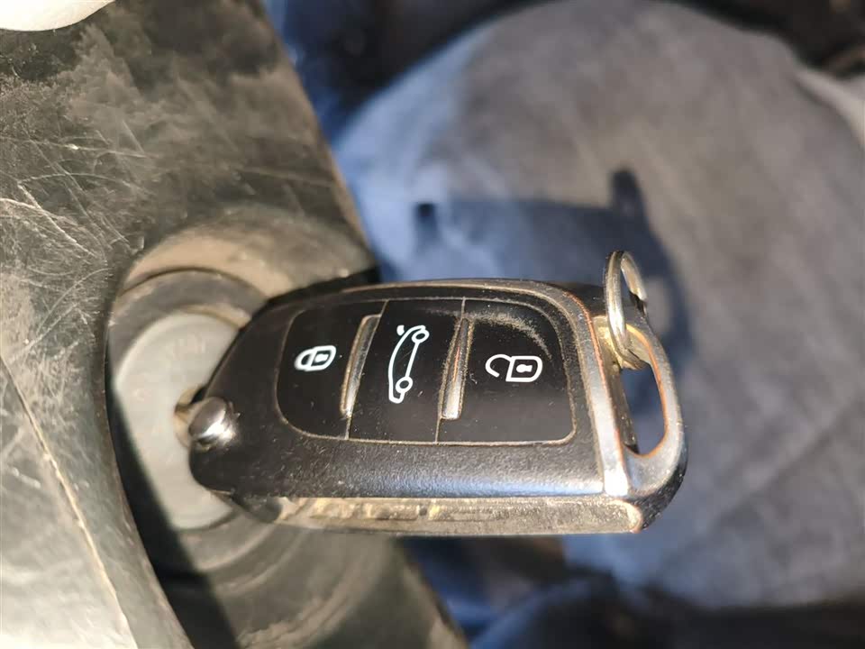 Dongfeng Handsome guest