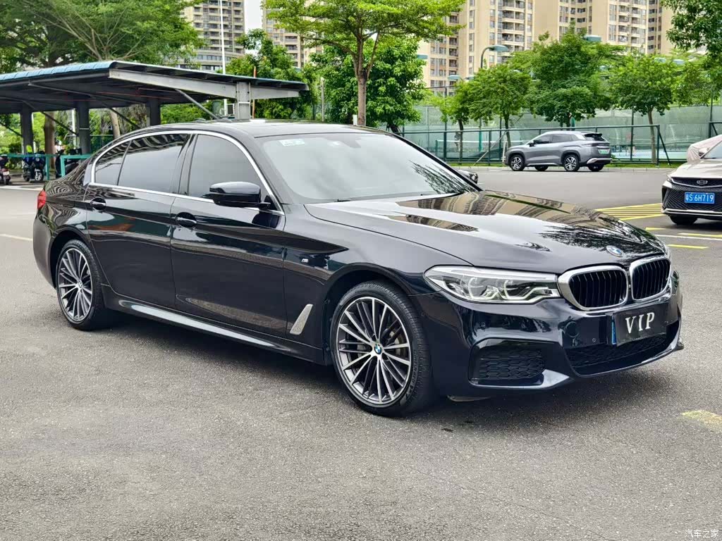 BMW 5 Series, 2020 3
