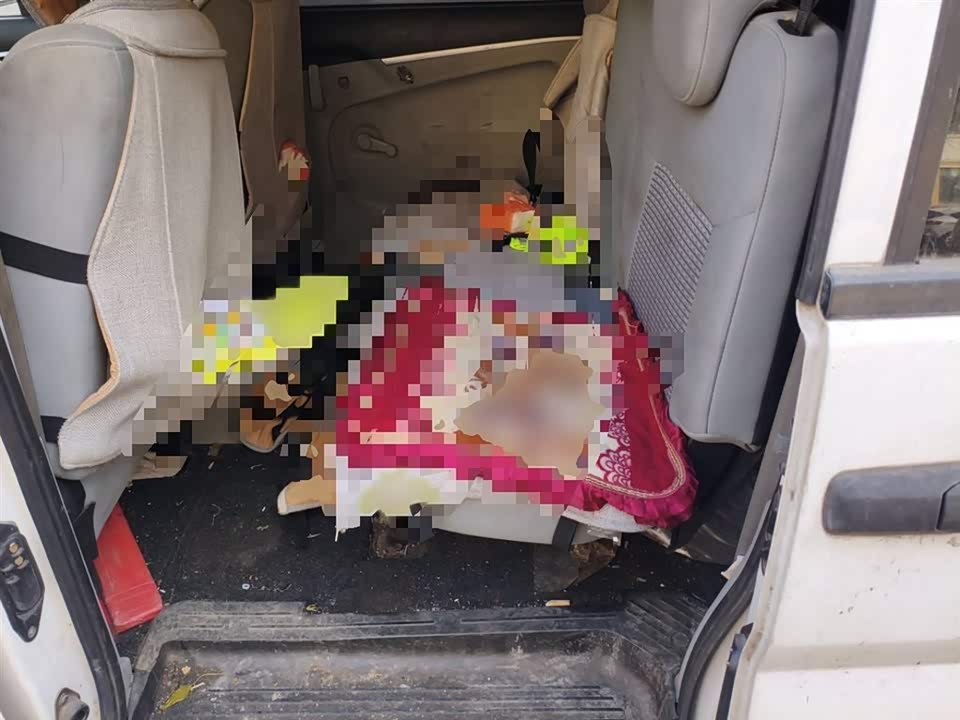 Dongfeng Handsome guest