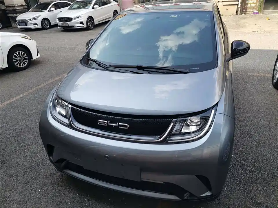 BYD dolphin