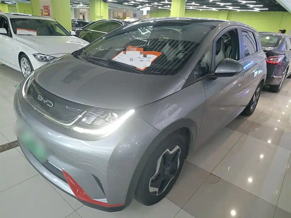 BYD dolphin