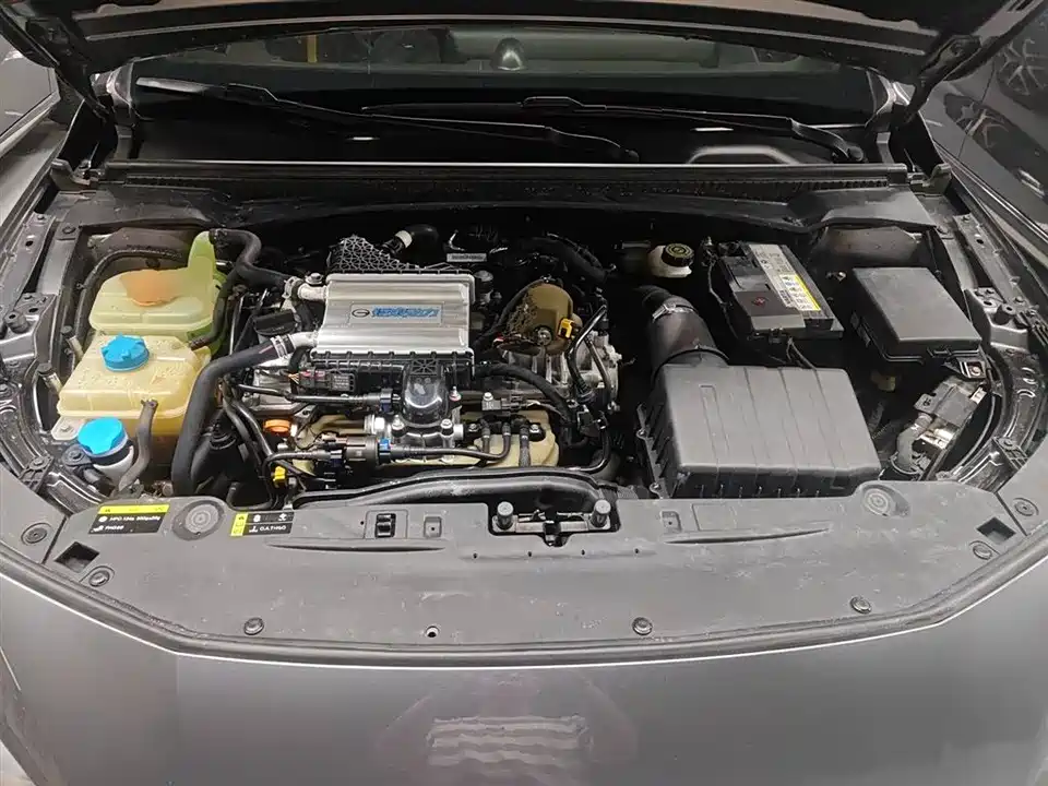 Trumpchi Shadow Leopard