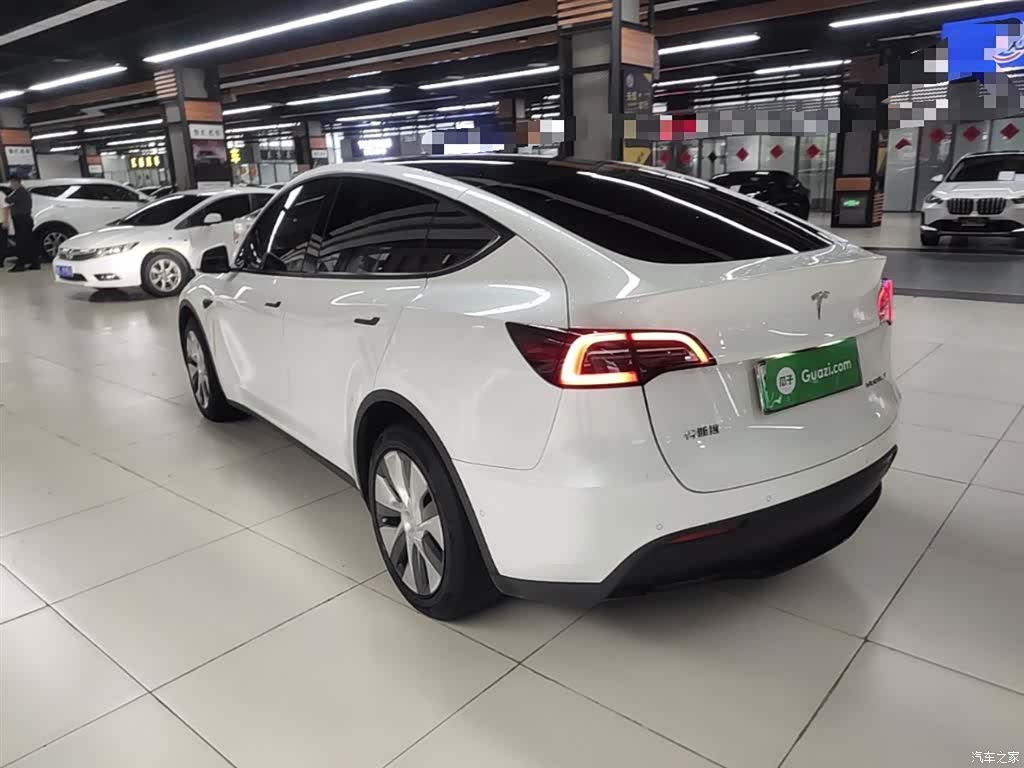Tesla Model Y, 2021 все фото