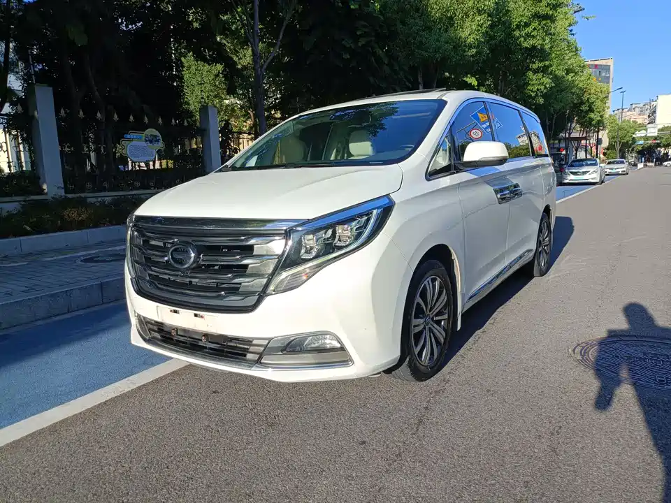 Trumpchi Trumpchi M8