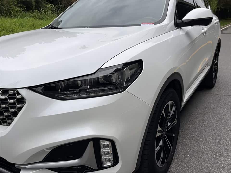 Weipai VV6
