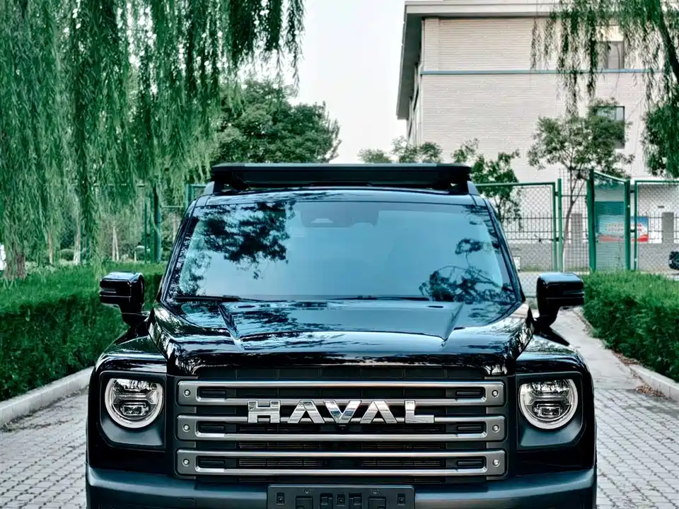 Haval Raptors