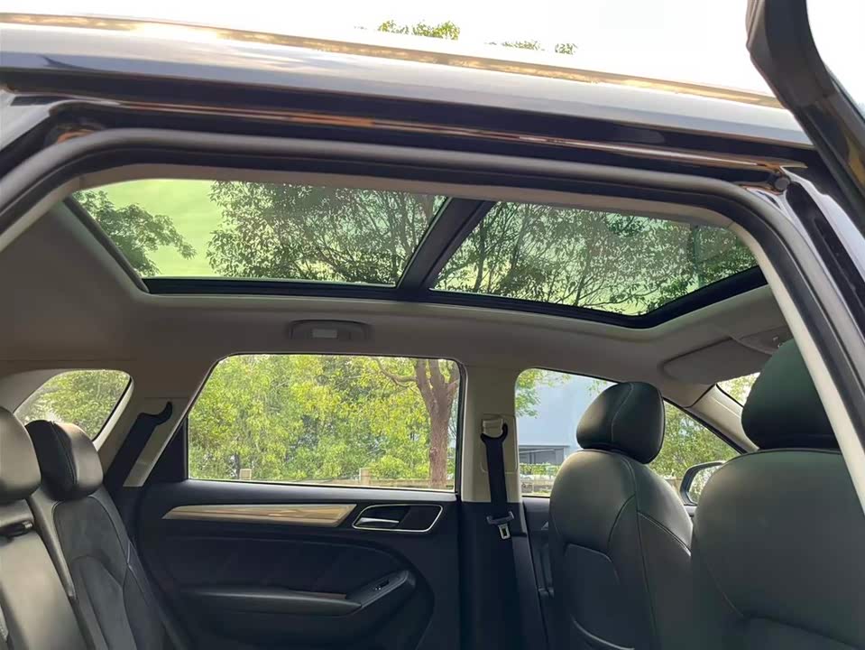 Roewe RX5 New energy